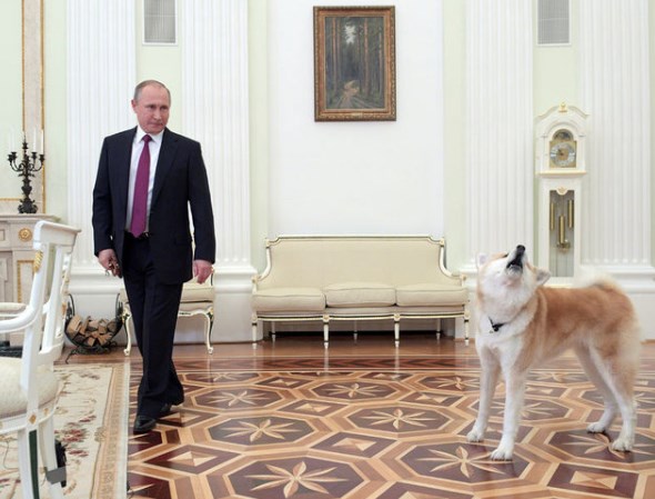 Putin gazetecileri köpeğiyle korkuttu! - Resim : 1